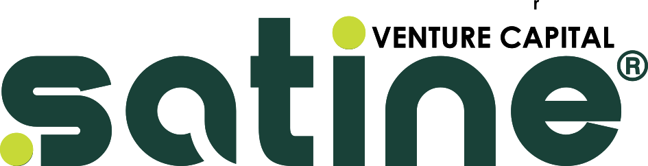 SATINE CAPITAL